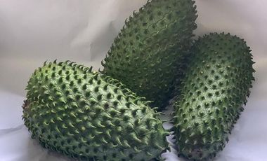 Venta Hacienda Agrícola en Portoviejo Manabí 32 ha - F27