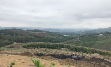 Venta Hacienda Agrícola en Portoviejo Manabí 32 ha - F27
