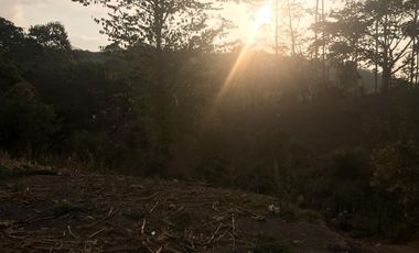 Venta Hacienda Agrícola en Portoviejo Manabí 32 ha - F27