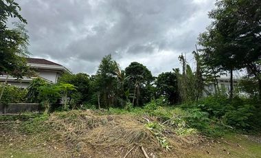 For Sale 865Sqm Lot in North Town Homes, Mandaue City