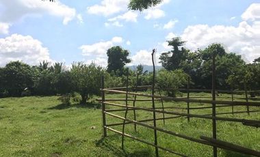 762 sqm Farm Lot for Sale in Brgy. Munting Ambling, Magdalena Laguna