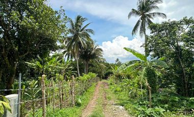 LOT FOR SALE 50METER FROM TAGAYTAY BYPASS ROAD
