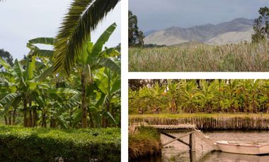 VENTA DE LOTES EN CONDOMINIO DE CAMPO MALA CAÑETE