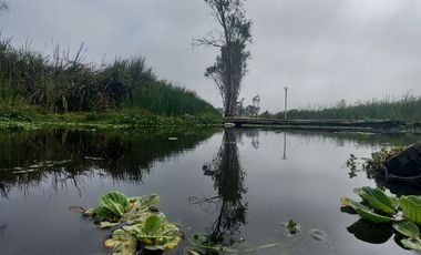 VENTA DE LOTES EN CONDOMINIO DE CAMPO MALA CAÑETE