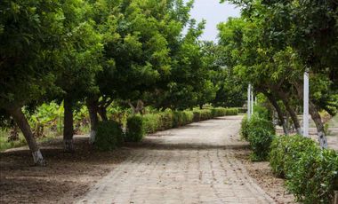 VENTA DE LOTES EN CONDOMINIO DE CAMPO MALA CAÑETE