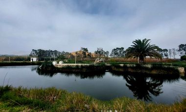 VENTA DE LOTES EN CONDOMINIO DE CAMPO MALA CAÑETE