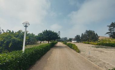 VENTA DE LOTES EN CONDOMINIO DE CAMPO MALA CAÑETE