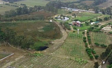 VENTA DE LOTES EN CONDOMINIO DE CAMPO MALA CAÑETE