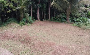 FOR SALE! 12,263 sqm Agricultural Lot at Cabuyao, Laguna