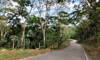 13,500 M2 Con Carretera Asfaltada - San Antonio de Cumbaza - Zona fresca a 25¨de Tarapoto