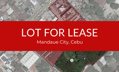 Industrial Lot for lease in Subangdaku Mandaue City Cebu