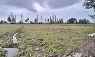Se vende hermosa parcela en sector Bustamante camino a Coihueco