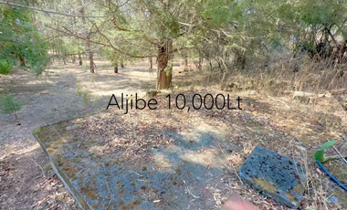 Casa en renta Campestre 3 habitaciones gran terreno San Pedro Patzcuaro Michoacan