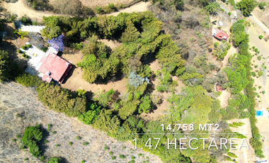 Casa en renta Campestre 3 habitaciones gran terreno San Pedro Patzcuaro Michoacan