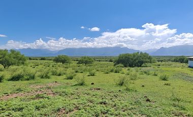 Rancho en La Unión, Montemorelos, Nuevo León.