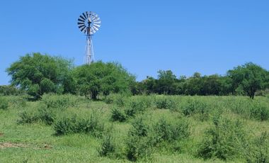Rancho en La Unión, Montemorelos, Nuevo León.
