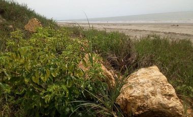 LOTE FRENTE AL MAR EN PLAYA ROMPIO
