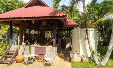 782sqm Land with 2 Houses in Danao, Panglao, Bohol I BOHOLANA REALTY