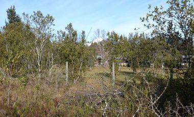 Pucón, vendo parcela 5000 m2  con dos cabañas, cercana al centro