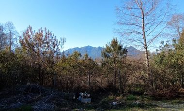Pucón, vendo parcela 5000 m2  con dos cabañas, cercana al centro
