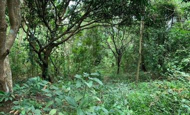 Farm Lot in Sto. Rosario Batangas