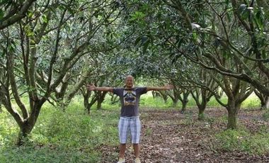 Farm Lot in Sto. Rosario Batangas