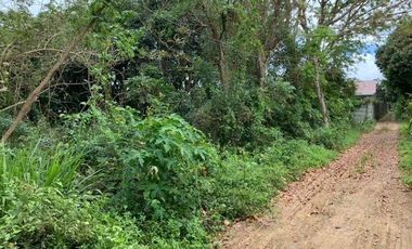 Farm Lot in Sto. Rosario Batangas