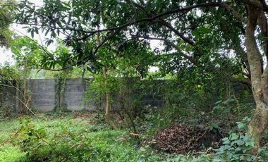 Farm Lot in Sto. Rosario Batangas