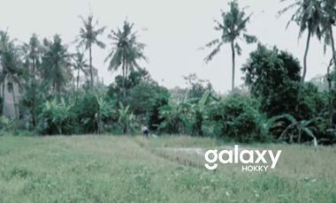 DIJUAL TANAH KAVLING PANTAI MENGENING CEMAGI MENGWI BADUNG, BALI