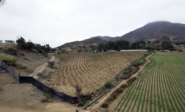 Terreno de 30,000 m2 en Pachacamac