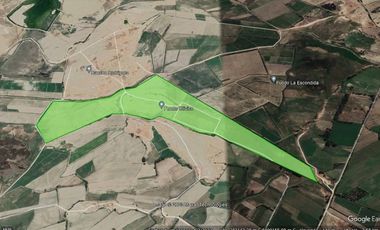 Terreno Agricola en venta en Pisco