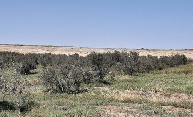 Terreno Agricola en venta en Pisco