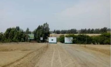 Terreno Agricola en venta en Pisco