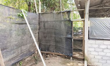 Tanah Dijual 1.098 m2 di Sambi Boyolali Dekat Pasar Sambi Boyolali