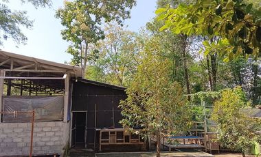 Tanah Dijual 1.098 m2 di Sambi Boyolali Dekat Pasar Sambi Boyolali