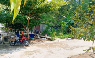 Tanah Dijual 1.098 m2 di Sambi Boyolali Dekat Pasar Sambi Boyolali
