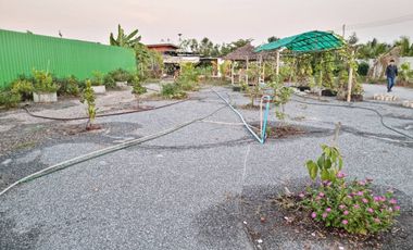 ขายที่ดินสวย 1-1-29 ไร่ ชัยมงคล สมุทรสาคร พร้อมบ้านสวนสไตล์รีสอร์ท