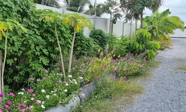 ขายที่ดินสวย 1-1-29 ไร่ ชัยมงคล สมุทรสาคร พร้อมบ้านสวนสไตล์รีสอร์ท