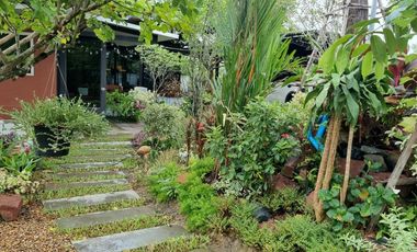 ขายที่ดินสวย 1-1-29 ไร่ ชัยมงคล สมุทรสาคร พร้อมบ้านสวนสไตล์รีสอร์ท