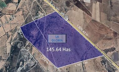 Venta Terreno Industrial 145has San Luis De La Paz Guanajuato