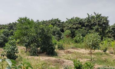 VIVE EN HUARAL - 16000 METROS