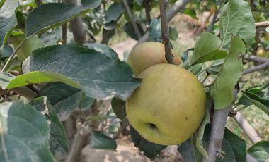 VIVE EN HUARAL - 16000 METROS