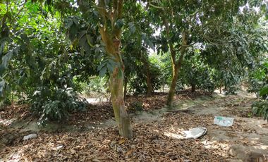 VIVE EN HUARAL - 16000 METROS