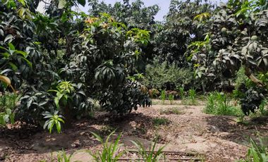 VIVE EN HUARAL - 16000 METROS