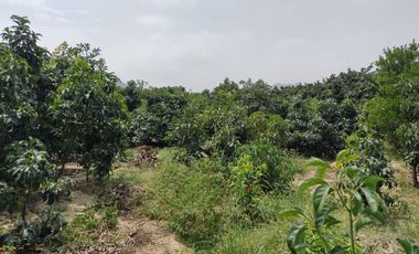 VIVE EN HUARAL - 16000 METROS