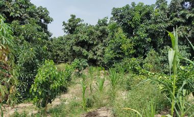 VIVE EN HUARAL - 16000 METROS