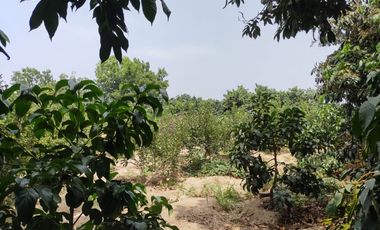 VIVE EN HUARAL - 16000 METROS