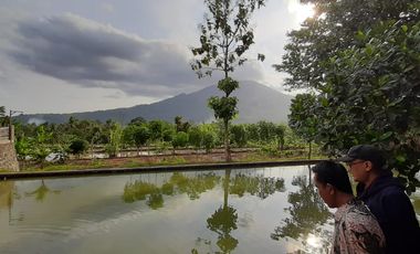 Tanah 2 Hektar Pinggir Jalan Raya Mandalawangi Pandeglang
