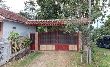 Tanah 2 Hektar Pinggir Jalan Raya Mandalawangi Pandeglang