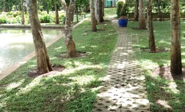 Tanah 2 Hektar Pinggir Jalan Raya Mandalawangi Pandeglang
